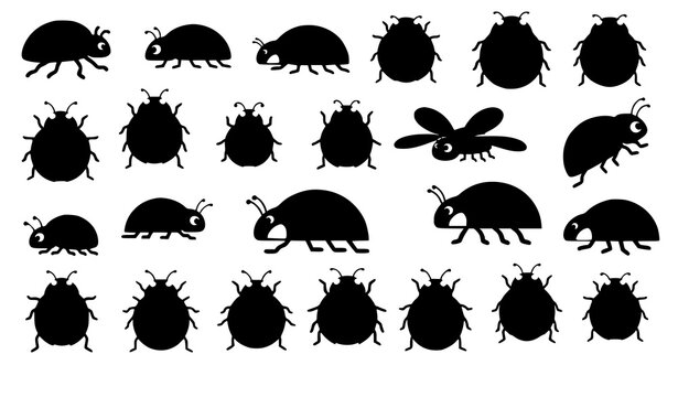 Ladybug collection cute insect red black spots vector illustration isolated on white