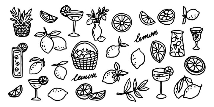 Lemon fruit related doodle sketch collection vector illustration.