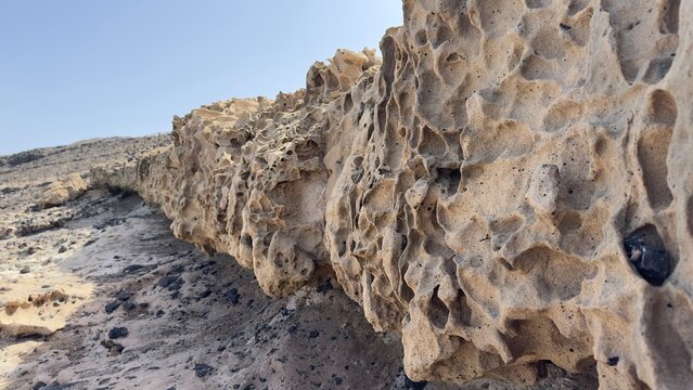 A close-up of a weathered coastal sandstone cliff showing dramatic honeycomb weathering patterns &mdash; naturally eroded cavities and pockmarks carved into the rock surface by wind and salt spray &mdash; against
