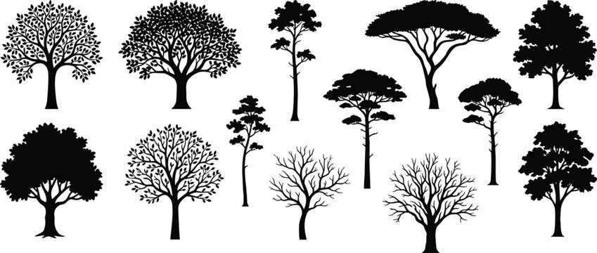 Tree silhouettes collection, deciduous conifer willow rounded canopy vector illustration, botanical nature artwork design graphic - black and white flat vector illustration