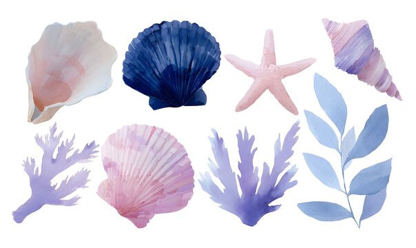 a set of hand drawn watercolour clipart illustrations of under the sea, ocean, featuring a shells, coral, seaweed and starfish.