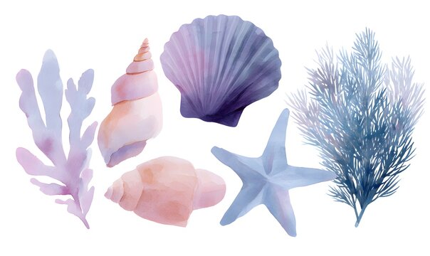 a set of hand drawn watercolour clipart illustrations of under the sea, ocean, featuring a shells, coral, seaweed and starfish.