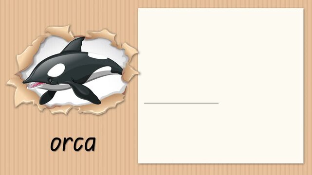 Educational Alphabet Animation Teaching the Letter O with an Orca Illustration