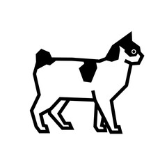 Japanese Bobtail © bis