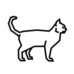 Singapura Cat © bis