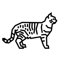 Tabby Cat © bis