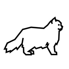 Persian cat © bis