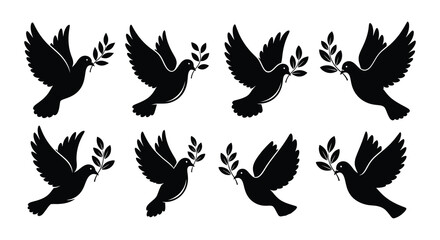 Fototapeta premium A collection of monochrome dove illustrations with olive branches
