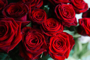 Naklejka premium Top view of lush red roses blooming in a dense bouquet.