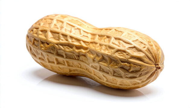 A close-up view showcases the textured shell of a single peanut against a stark white background.
