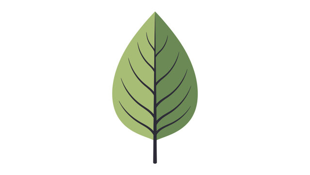 Vibrant Leaf: a simple yet captivating view, showcasing the beauty of the leaf. Its delicate veining and vivid color makes it a perfect representation of the nature.