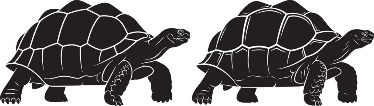 Two black silhouette tortoises moving forward one slightly ahead of the other showcasing their textured shells and legs against a white background line art tortoise silhouette wildlife isolated
