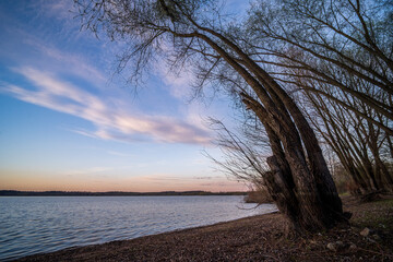 Las, rośliny, wiosna, drzewa, krajobraz ,natura, woda, trawa  © Adrian Jaśpiński