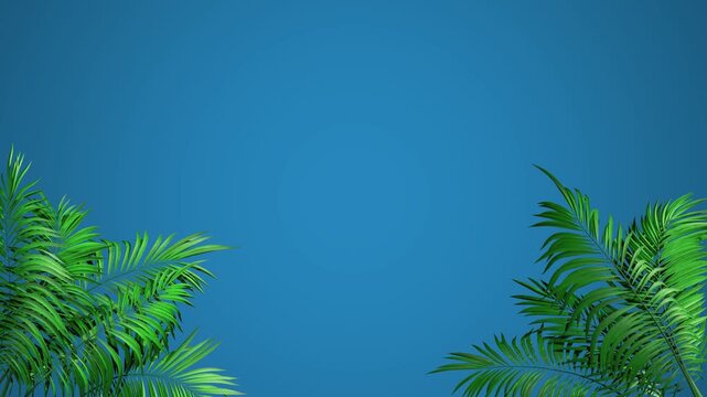 Slow Swaying Tropical Palm Leaves Loop with Alpha Luma Matte
