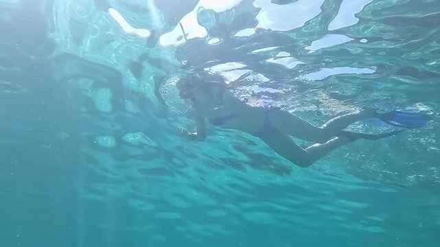 Snorkeling in the Red Sea. A girl in a swimsuit, fins and an underwater mask swims in the sea near a coral reef. Various schools of fish for diving and freediving at the seaside resorts of Egypt.