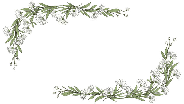 Elegant floral corner border design made of hand drawn white daisy flowers and green botanical leaves on a clean white background.