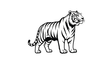 Obraz premium Detailed black and white line art illustration of a powerful tiger standing in a majestic and strong pose.