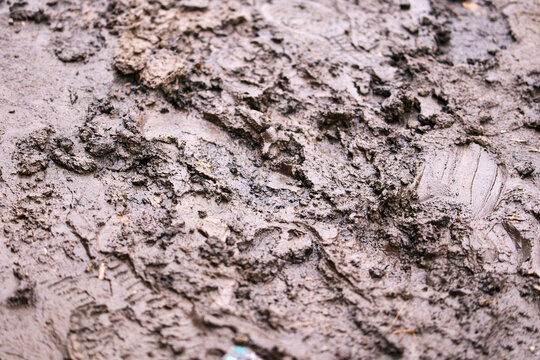Detailed macro texture of wet brown mud and clay, organic earth surface background