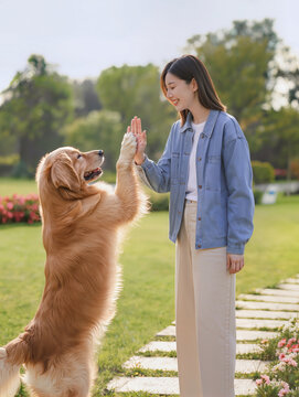 Happy Woman High Five with Golden Retriever Dog in Park Pet Training Bonding Lifestyle