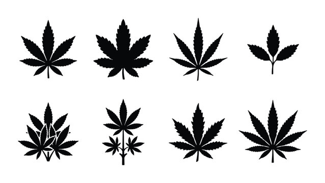 Cannabis leaf silhouette icons, set of 8 marijuana foliage vector elements, black hemp plant leaf symbols for medical and recreational branding