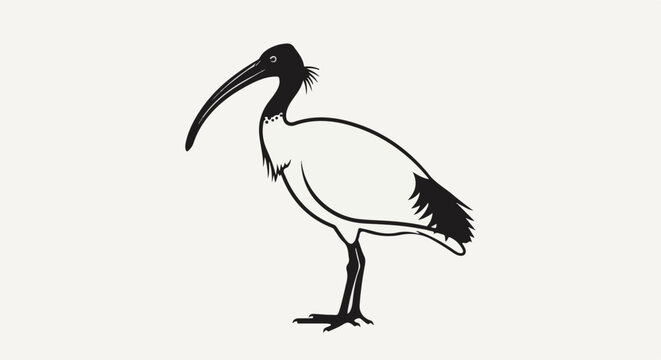 Stylized black and white illustration of an ibis with a long curved beak