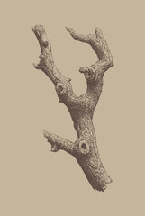 Fototapeta premium Minimalist depiction of a dry tree branch with natural texture