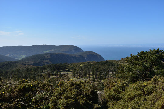 Paisaje en costa de Lugo, Galicia, con vegetaci&oacute;n atl&aacute;ntica, de monte bajo, adaptada al viento y la salinidad.