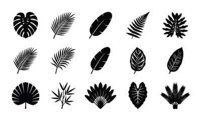Tropical leaf silhouette collection, 15 black botanical vector icons, exotic jungle foliage set with monstera and palm fronds for summer design © Masud