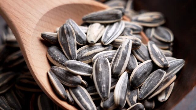 Roasted sunflower seeds with striped shells in wooden spoon inside dark brown bowl. Healthy snack ingredient. Rustic kitchen style. Rotation