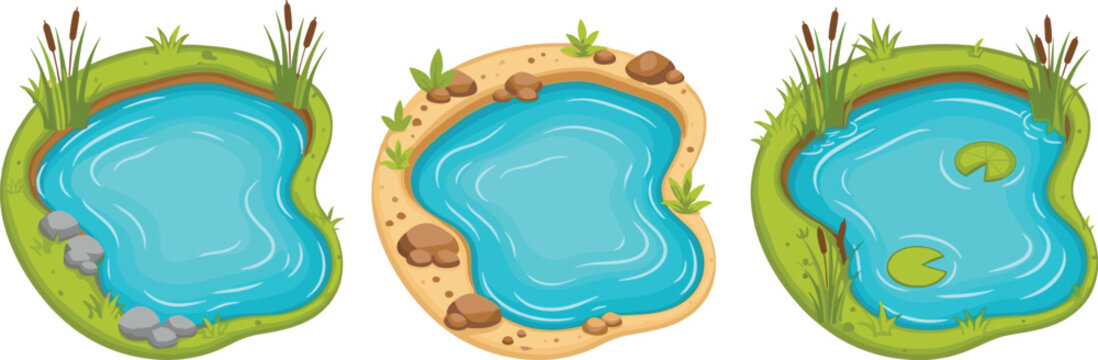 Cartoon pond set with water lily grass and rocks nature landscape vector illustration