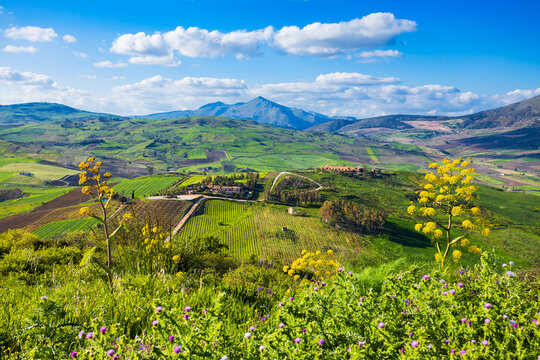 Temple of Segesta aerial panoramic view, Sicily