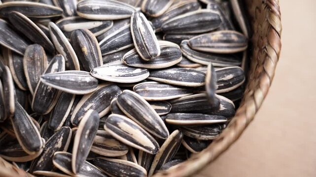 Roasted unpeeled sunflower seeds filling a rustic wicker basket in slow motion. Black and white striped texture of the shells. Healthy nutrition ingredient. Top view