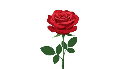 Fototapeta premium Vibrant red rose illustration, a timeless symbol of love, passion, and natural beauty, perfect for romantic and elegant designs or heartfelt gestures