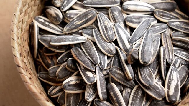 Heap of roasted unshelled sunflower seeds in a rustic woven wicker basket. Crunchy salty appetizers. Rotation