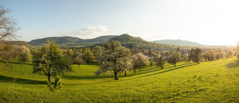 Spring sunset over blooming orchards with view of Limburg hill, Teck Castle and Breitenstein. Weilheim an der Teck, Baden-W&uuml;rttemberg, Germany.