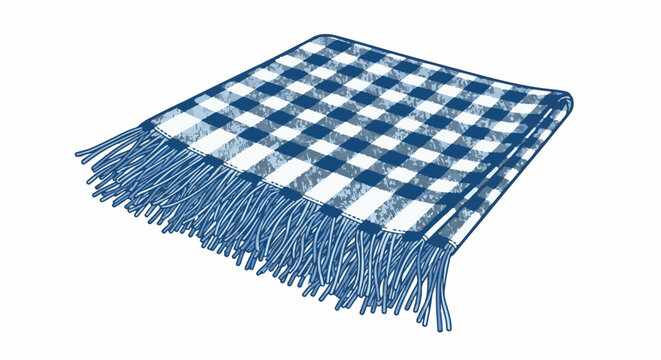 Blue and white checkered fabric blanket with frayed fringe edges, angled view