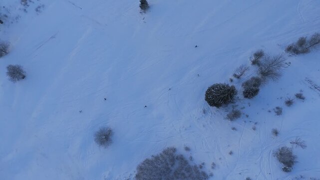 High Angle Aerial View of Skiers Descending Snowy Mountain Slope