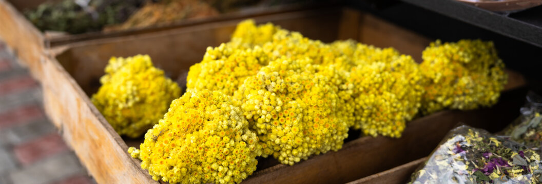 Small yellow wildflowers displayed at a market, showcasing natural beauty, vibrant color, and fresh floral arrangements for sale in a lively setting.