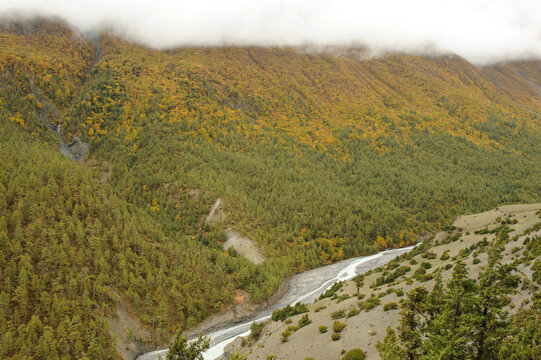 landscape in the mountains