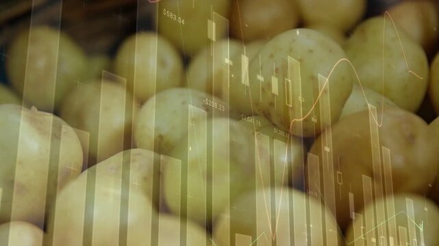 Finance overlay appearing over potato basket bars candles line plots animating showing market data