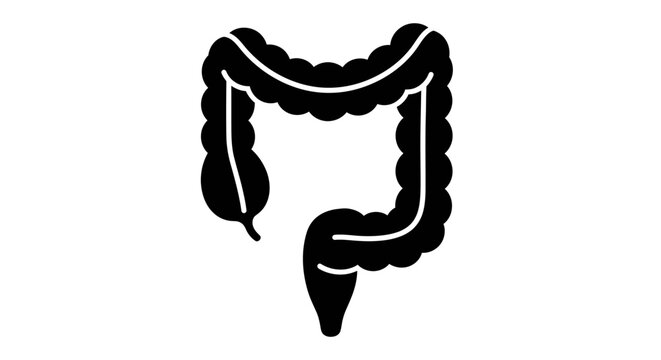 Medical Illustration of Human Colon in Black and White.