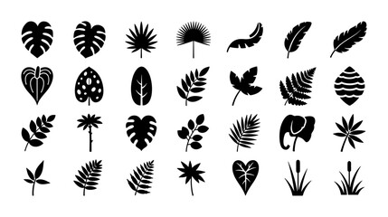Tropical leaf silhouette collection, 28 black botanical icons, monstera and palm foliage vector set, exotic jungle plant elements for minimalist design © Mahfuz