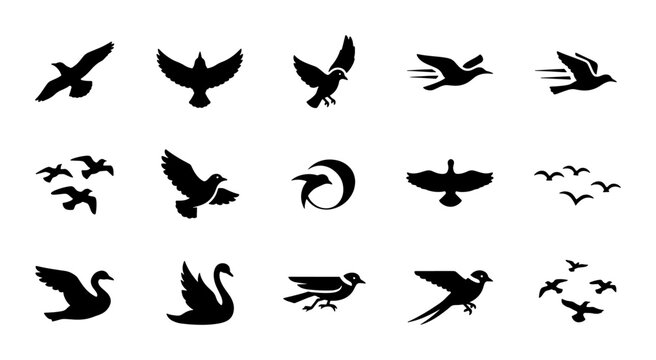 Minimalist flying bird silhouettes, set of 15 black avian icons, soaring eagle and swan vector graphics, elegant bird wing shapes for logo design