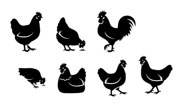 Black chicken silhouette collection, set of 7 poultry farm bird vectors, rustic rooster and hen icons for organic food branding and butcher shop logos