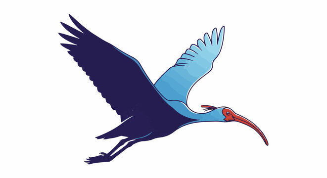 Stylized illustration of a dark blue and light blue ibis bird in flight against a white background