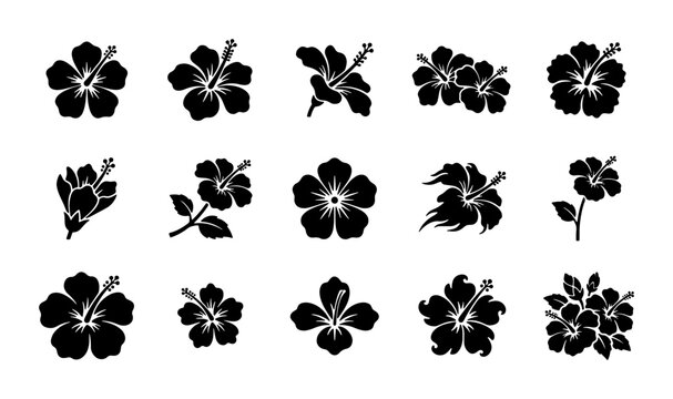 Tropical hibiscus flower silhouettes, set of 15 black floral icons. Exotic Hawaiian bloom vector graphics. Minimalist botanical plant elements for summer design.