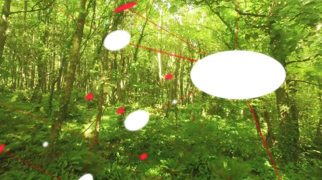 Camera moving forward and panning right, overlays shifting, scaling, tilting, showing forest