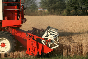 Obraz premium combine harvester working on a field