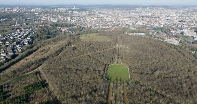 Aerial view of a dense forest of bare trees leading to the city under a clear sky, contrasting the urban sprawl with the natural landscape, Nancy, France.