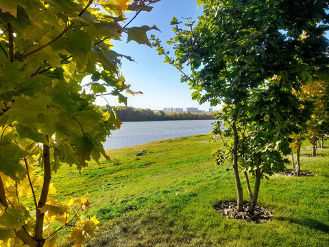 Beautiful autumn landscape with river, trees and grass in the park. Omsk, Russia